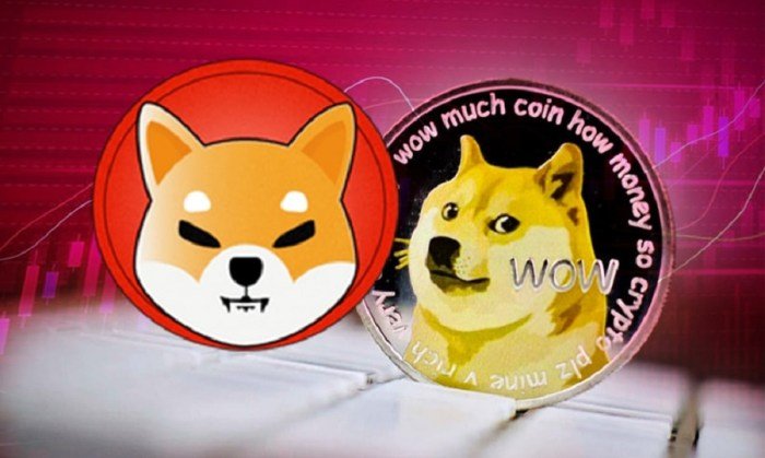 Dogecoin and Shiba Inu investment risks and potential returns