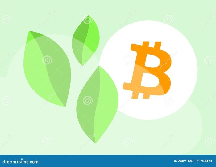 Bitcoin mining's environmental impact and sustainable solutions